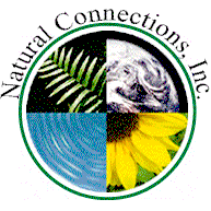 Natural Connections, Inc., Independent Metabolife Distributor